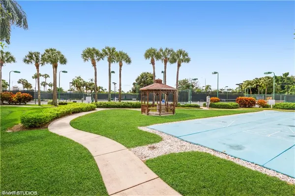 a view of a park with large trees