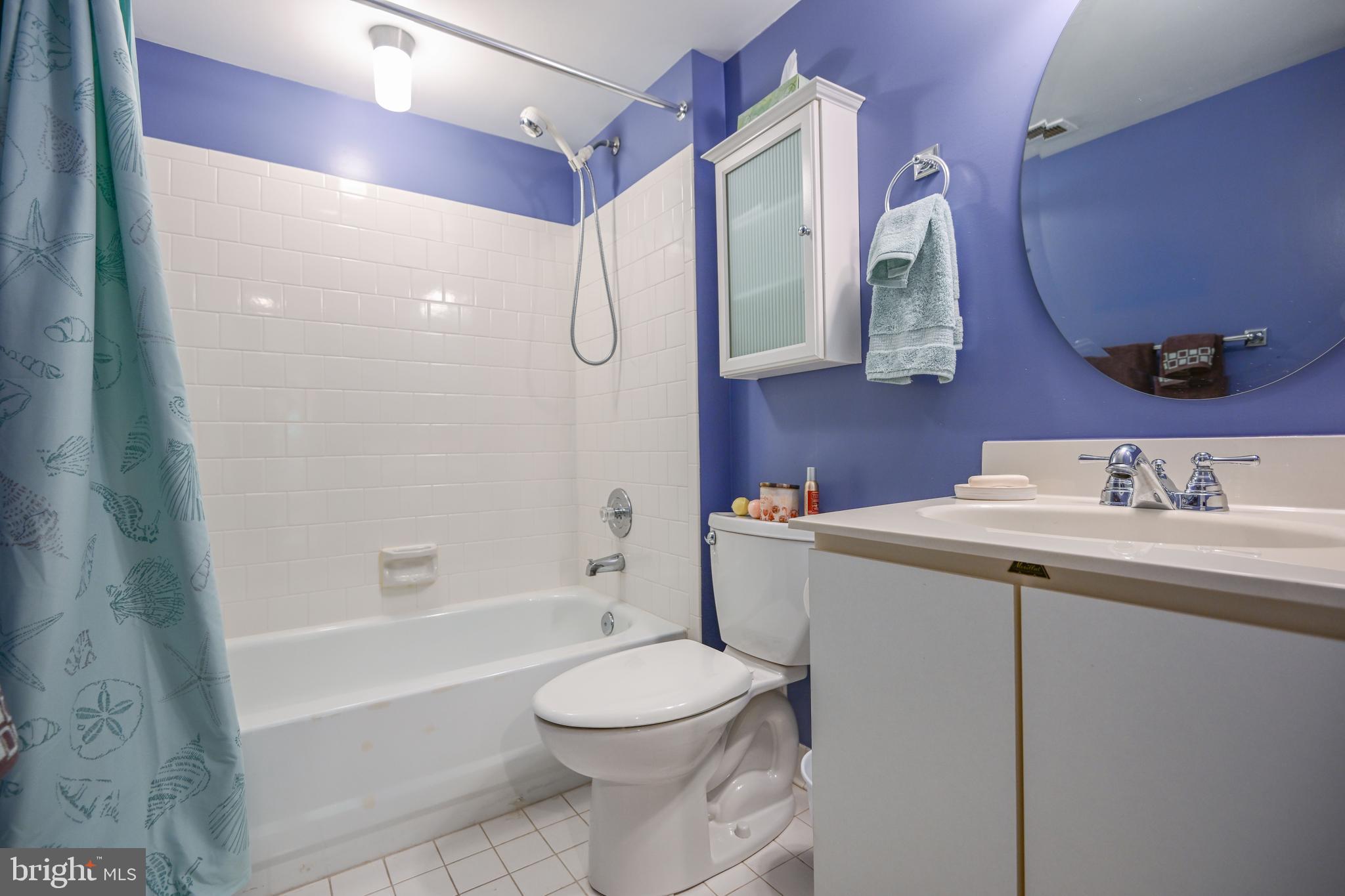 117 Castletown Road, Unit 301 Lutherville-Timonium, MD 21093 - Photo 20 of 23 2nd bathroom