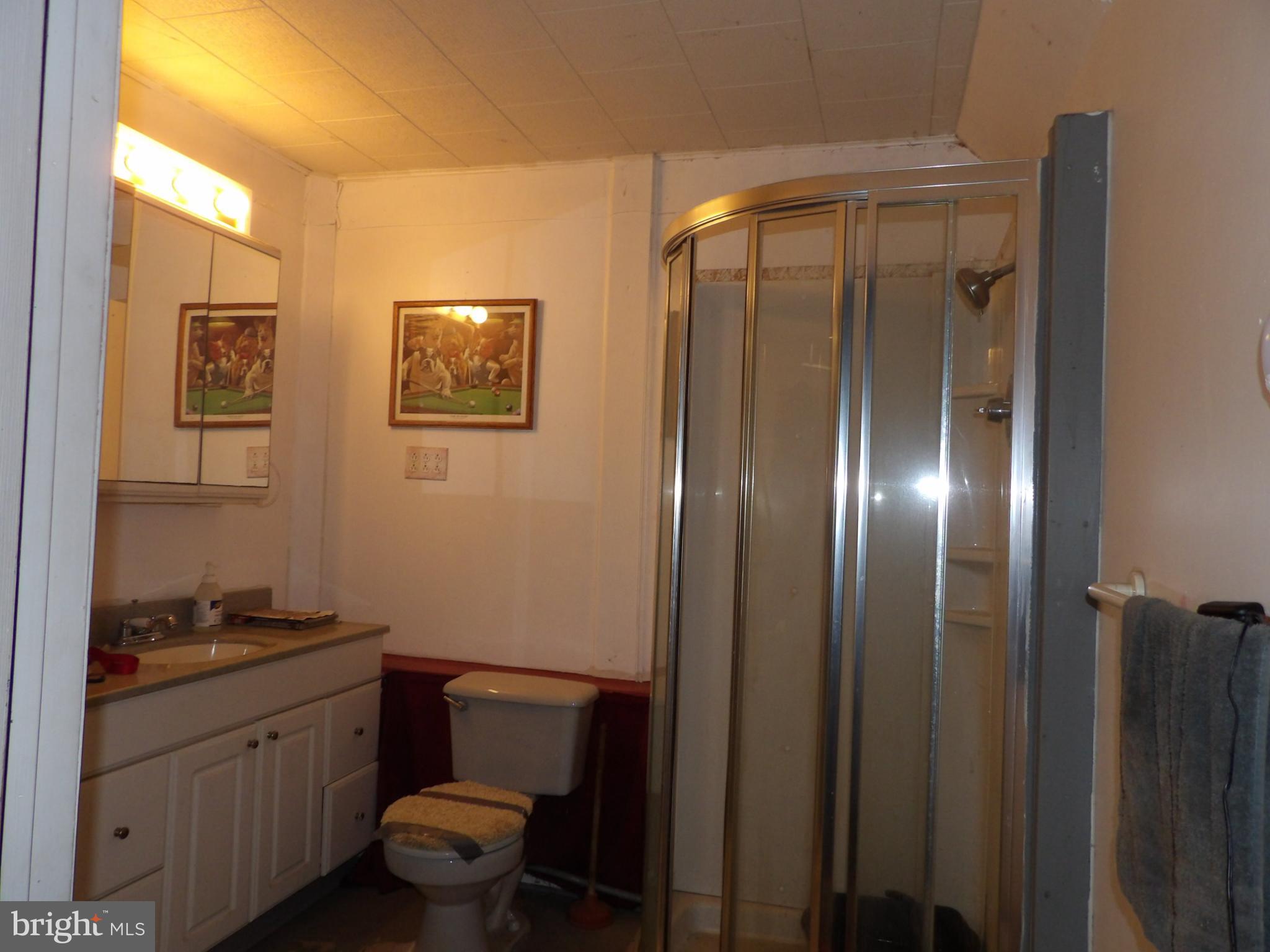 150 Suedberg Road Pine Grove, PA 17963 - Photo 19 of 33 Full Bath in the garage
