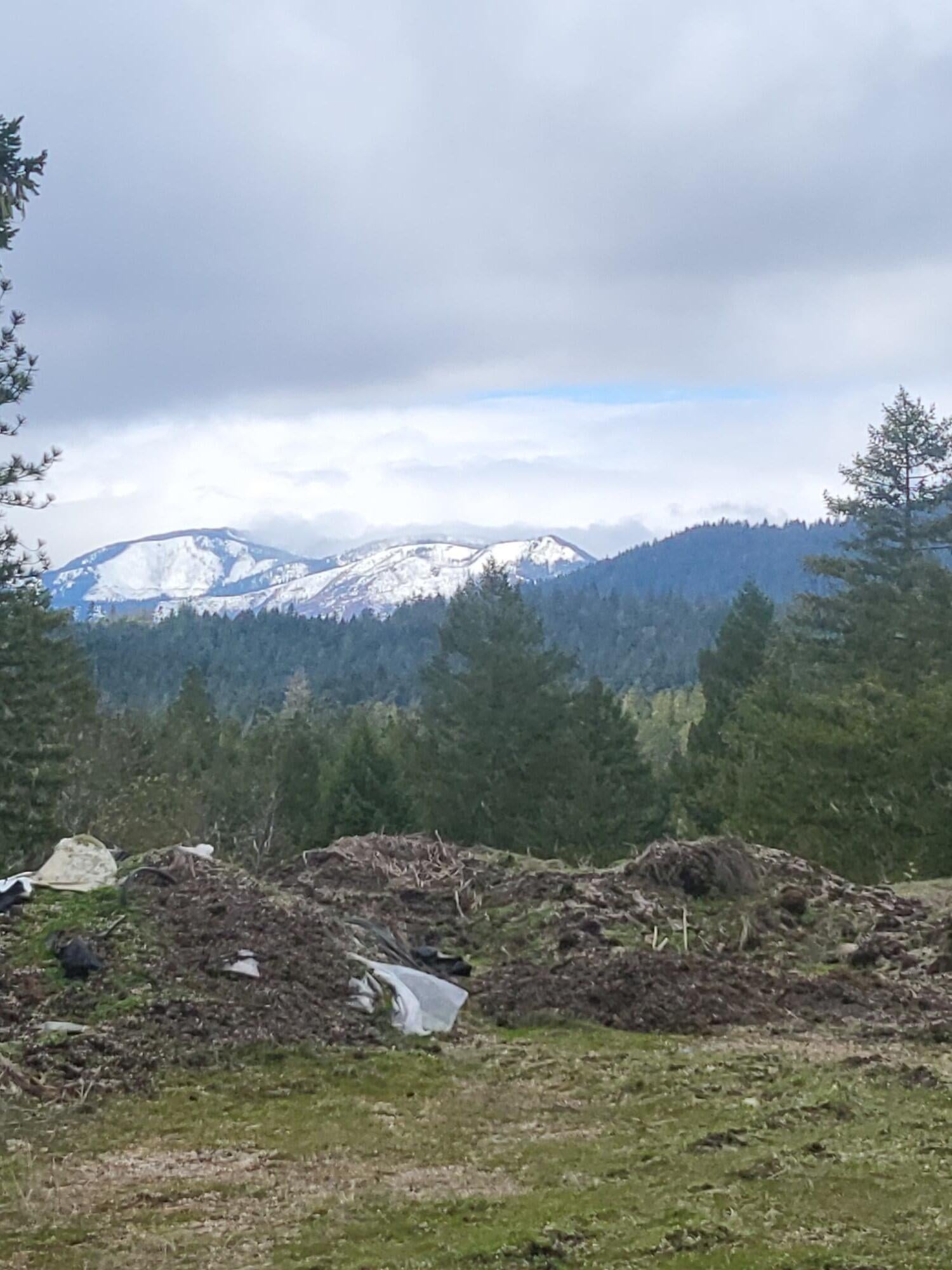 962 Indian Creek Road Selma, OR 97538 - Photo 40 of 42 Southern View