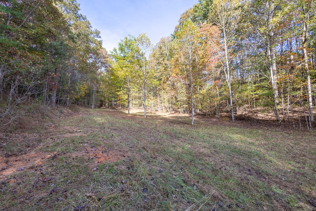 300 Springbrook Lane Murphy, NC 28906 - Photo 39 of 39 Gallery Image 39