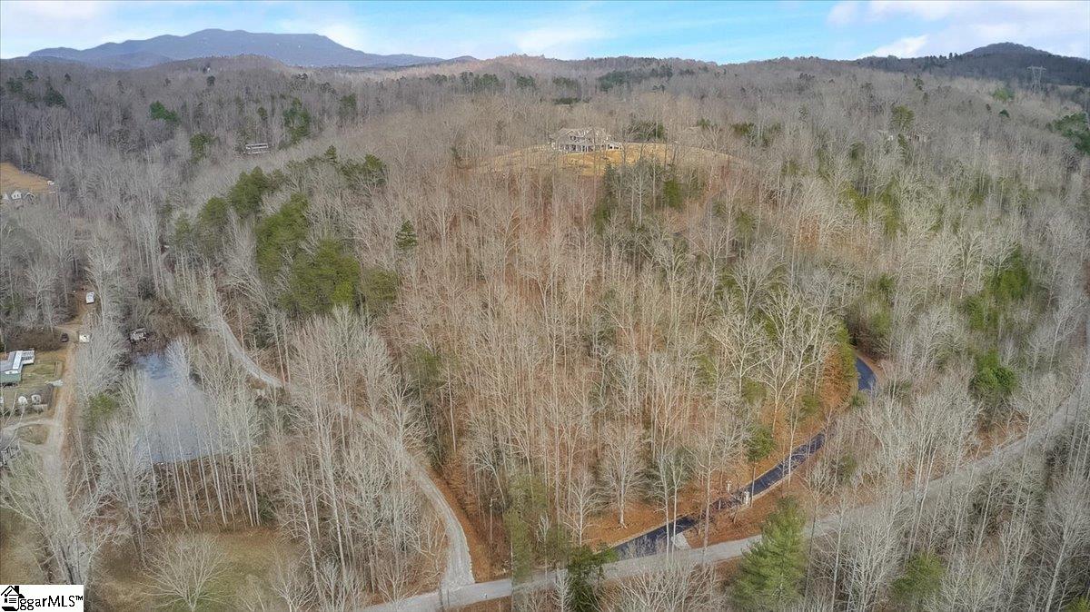 207 Sweet Gum Valley Road Travelers Rest, SC 29690 - Photo 7 of 16 Gallery Image 7