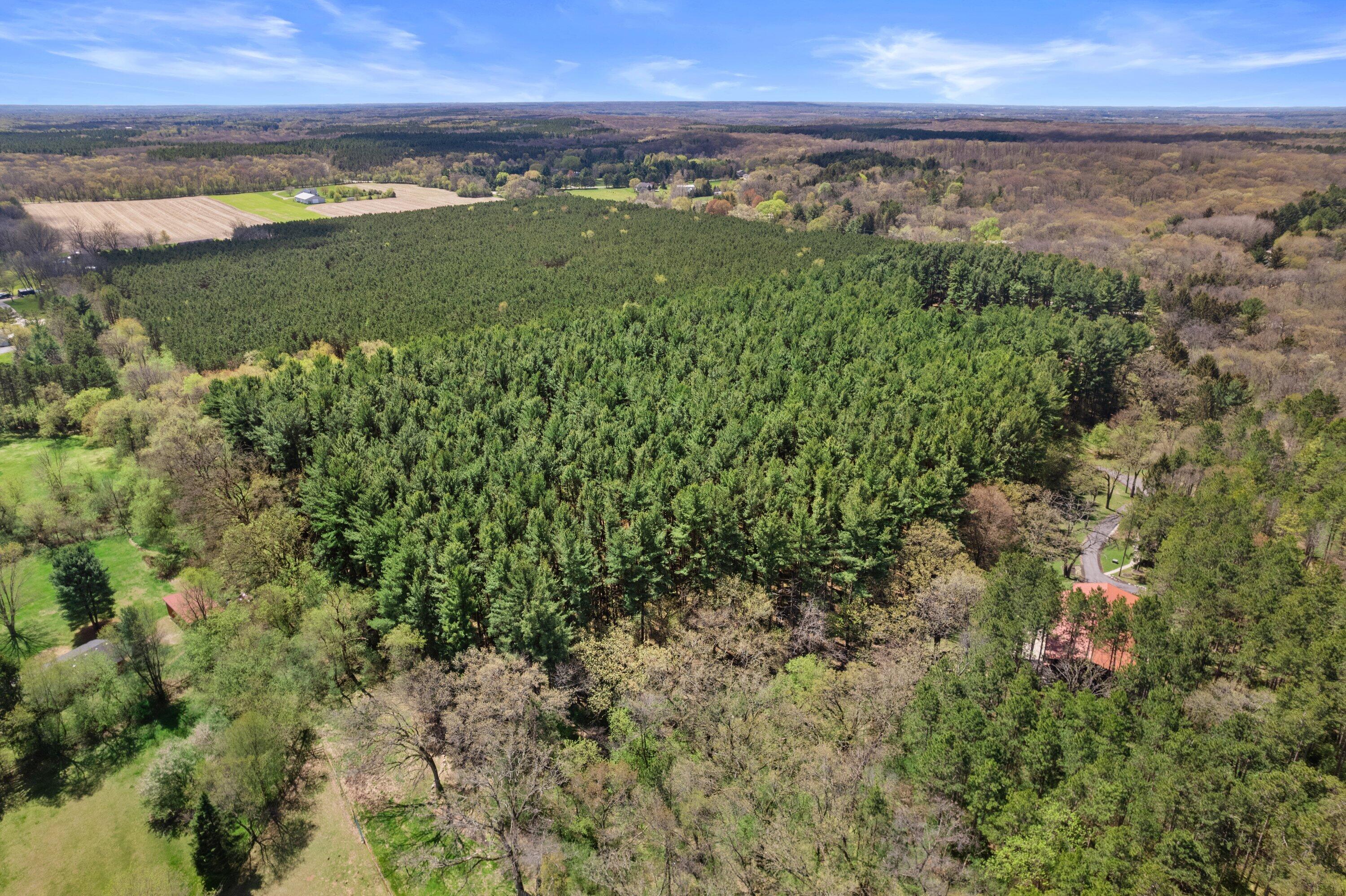 W347S4948 Waterville Road Ottawa, WI 53118 - Photo 11 of 59 DJI_0578