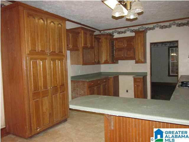 770 Perman Lake Road Rainbow City, AL 35906 - Photo 3 of 32