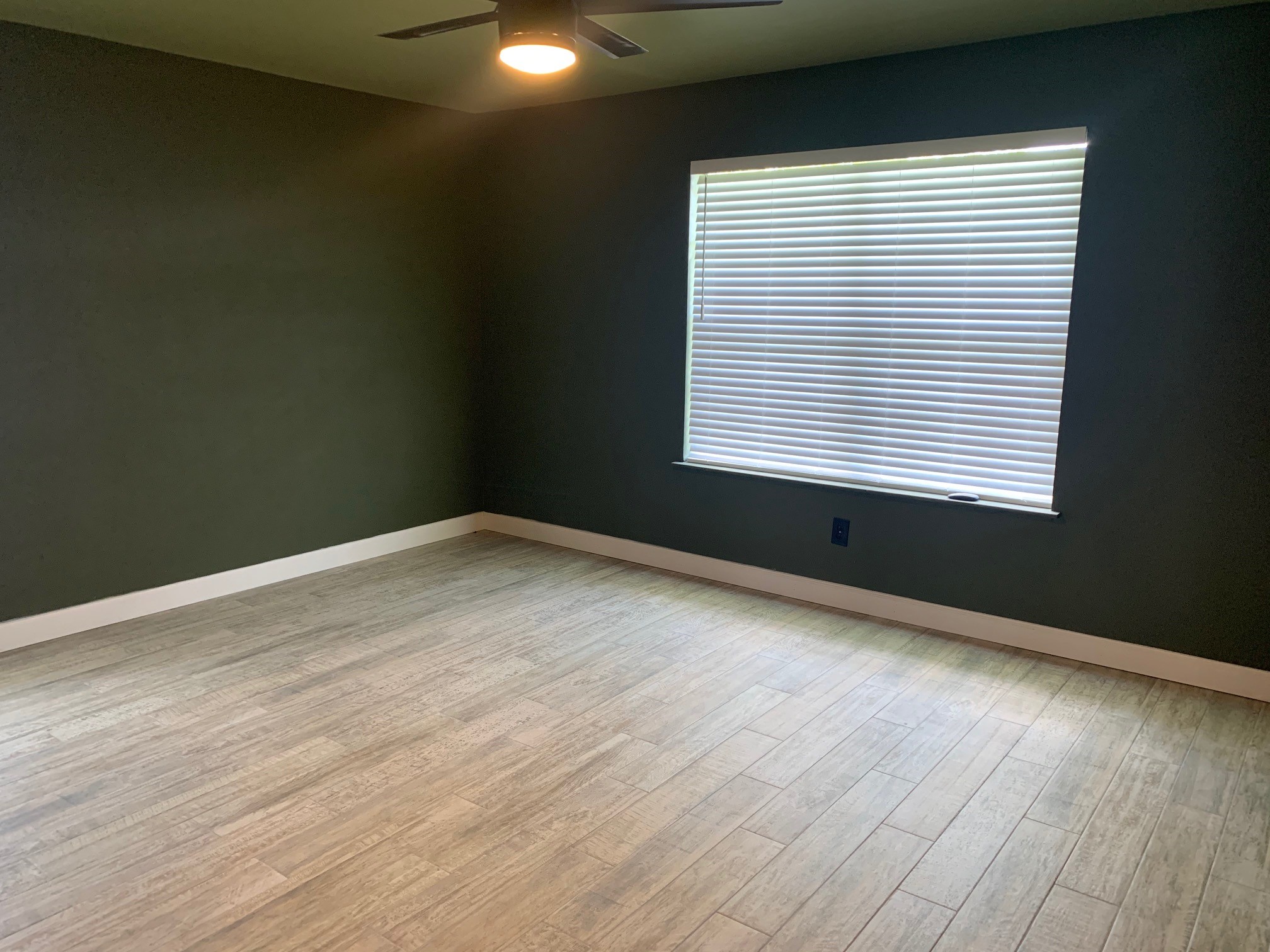 13605 Ralph Ritchie Road Manor, TX 78653 - Photo 14 of 19 Empty room with ceiling fan and light wood-type flooring