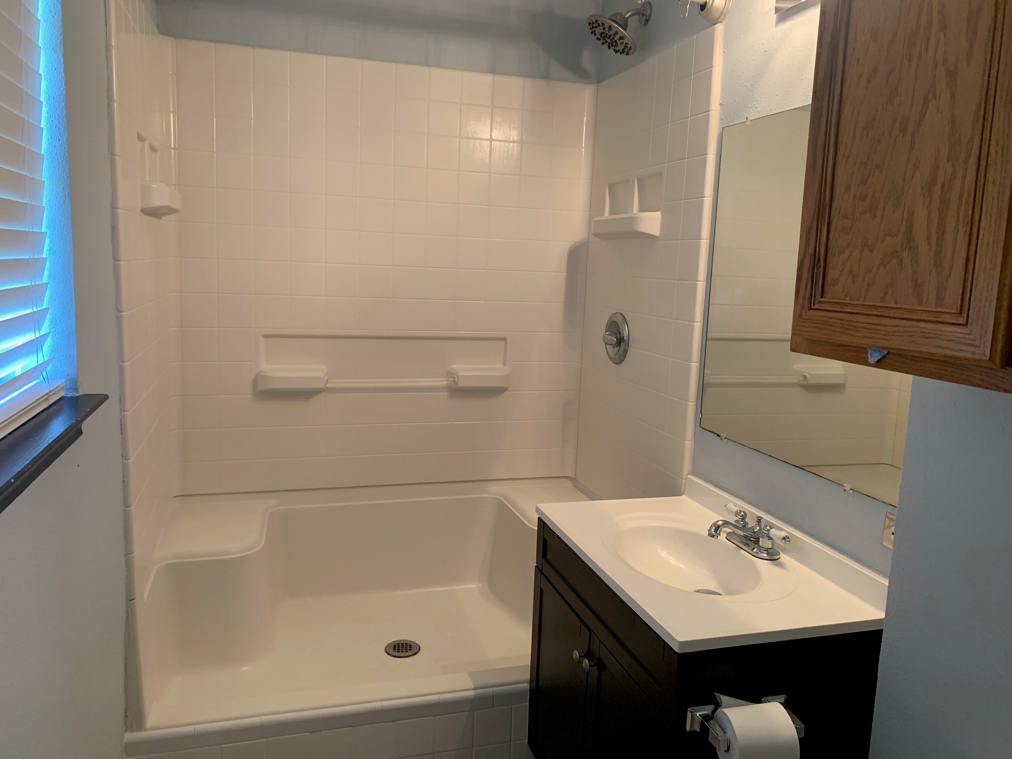 13605 Ralph Ritchie Road Manor, TX 78653 - Photo 18 of 19 Bathroom featuring vanity and a shower