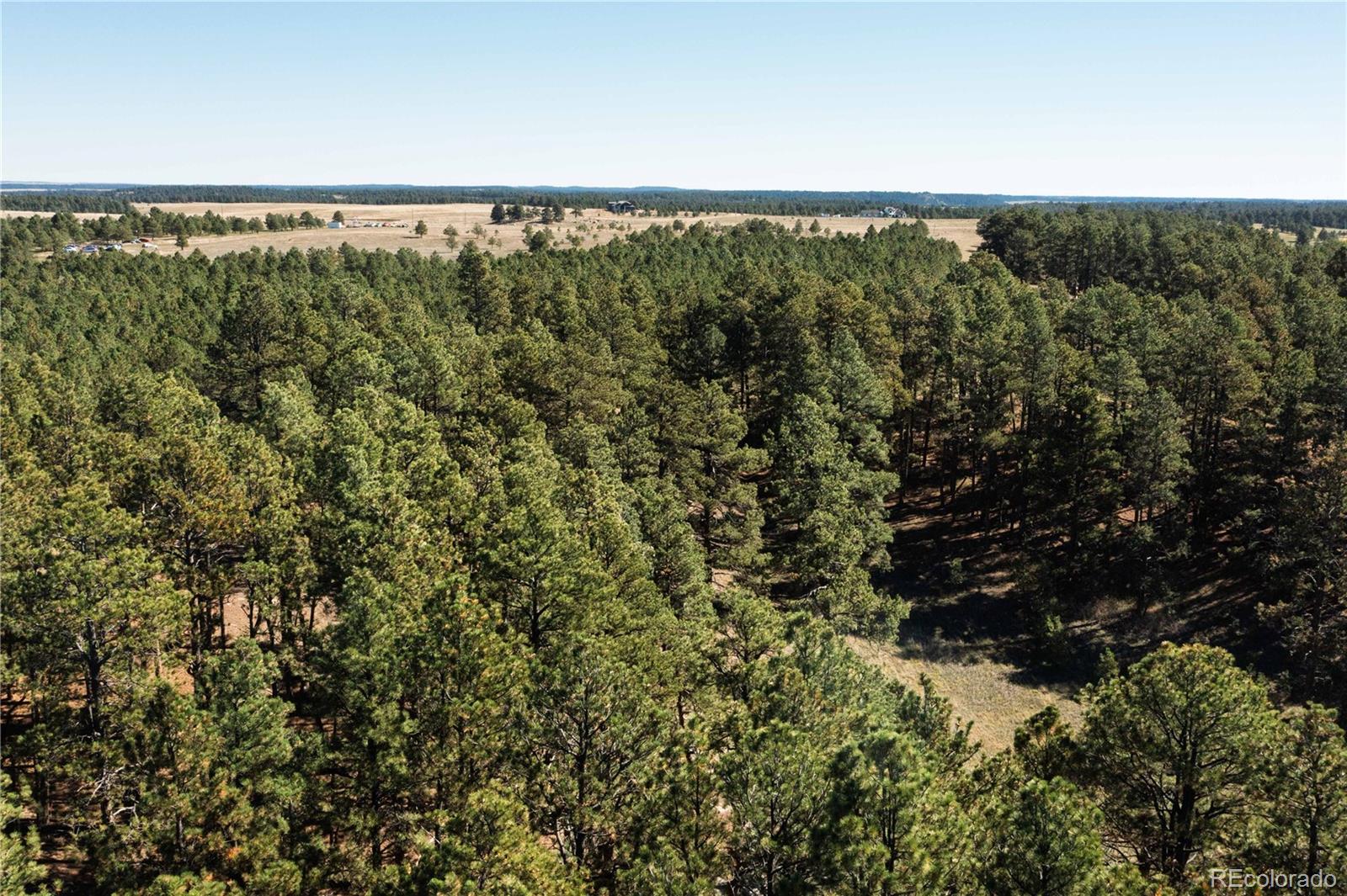 9040 Walker Road Colorado Springs, CO 80908 - Photo 4 of 25 Gallery Image 4