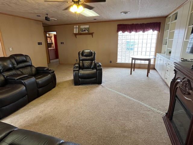 1163 State Highway 70 Rotan, TX 79546 - Photo 34 of 40