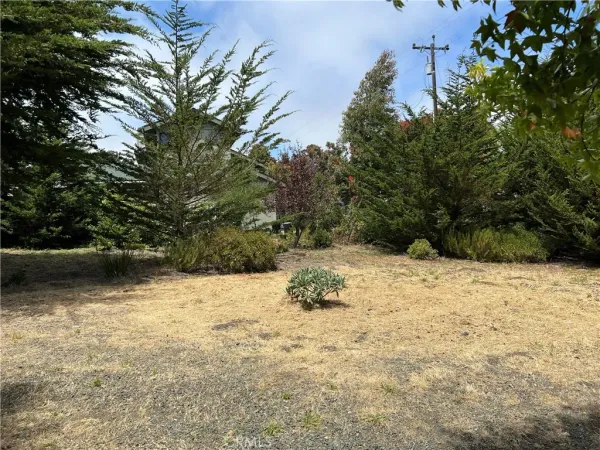 $29,000 | 0 Burton Drive, Cambria, CA 93428