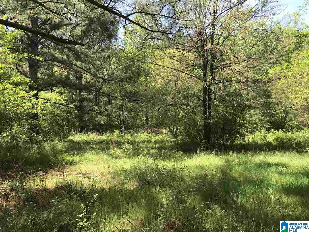 0 Acton Road, Unit 53 ACRE Moody, AL 35004 - Photo 19 of 33 Gallery Image 19