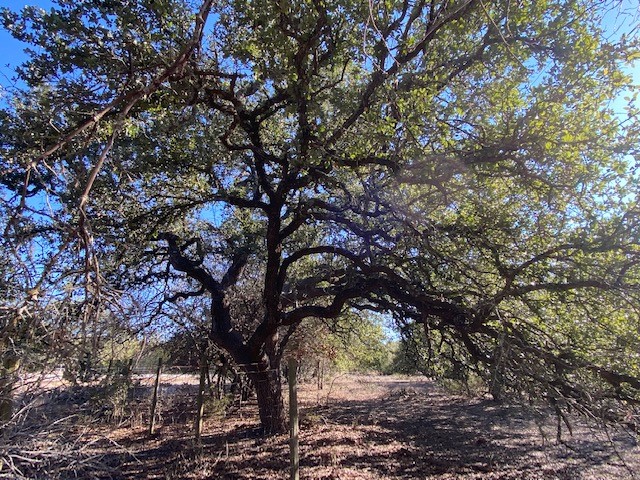 Tbd Flying B Ranch Road Bertram, TX 78605 - Photo 1 of 1 Gallery Image 1