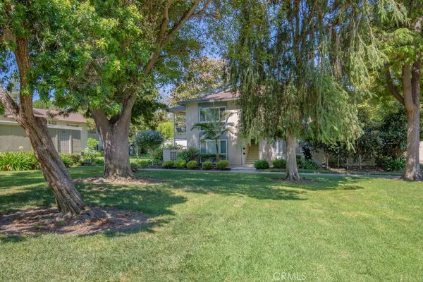 a backyard of a house with plants and large tree