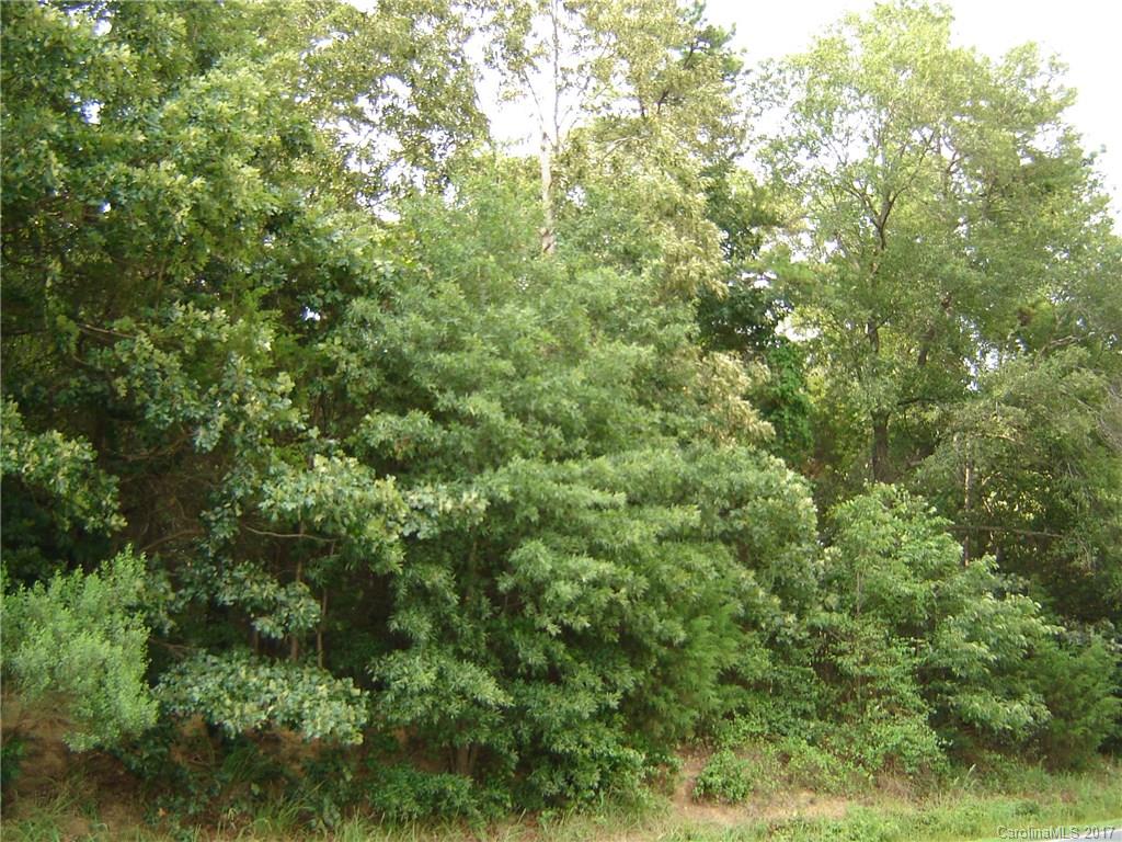0 Snyders Store Road Monroe, NC 28112 - Photo 1 of 9