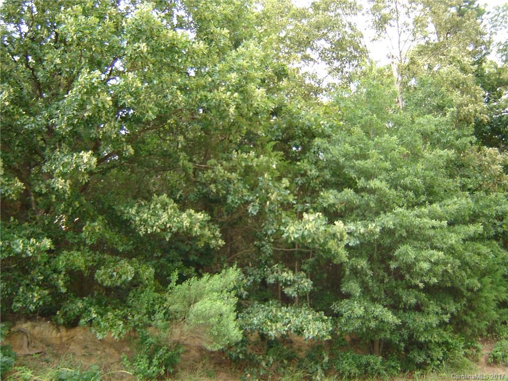 0 Snyders Store Road Monroe, NC 28112 - Photo 2 of 9