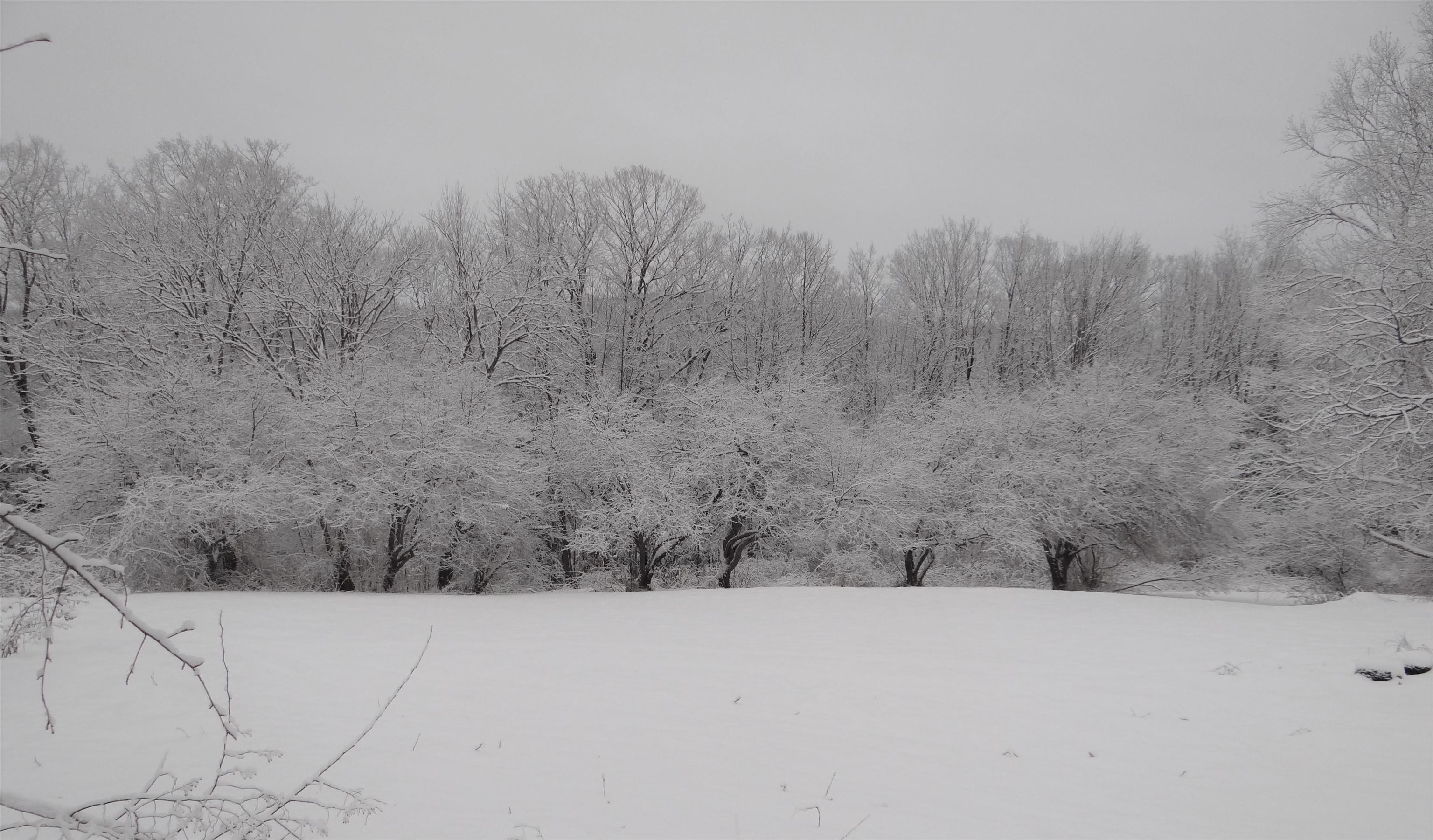 481 Hillside Road Hartford, VT 05059 - Photo 38 of 40