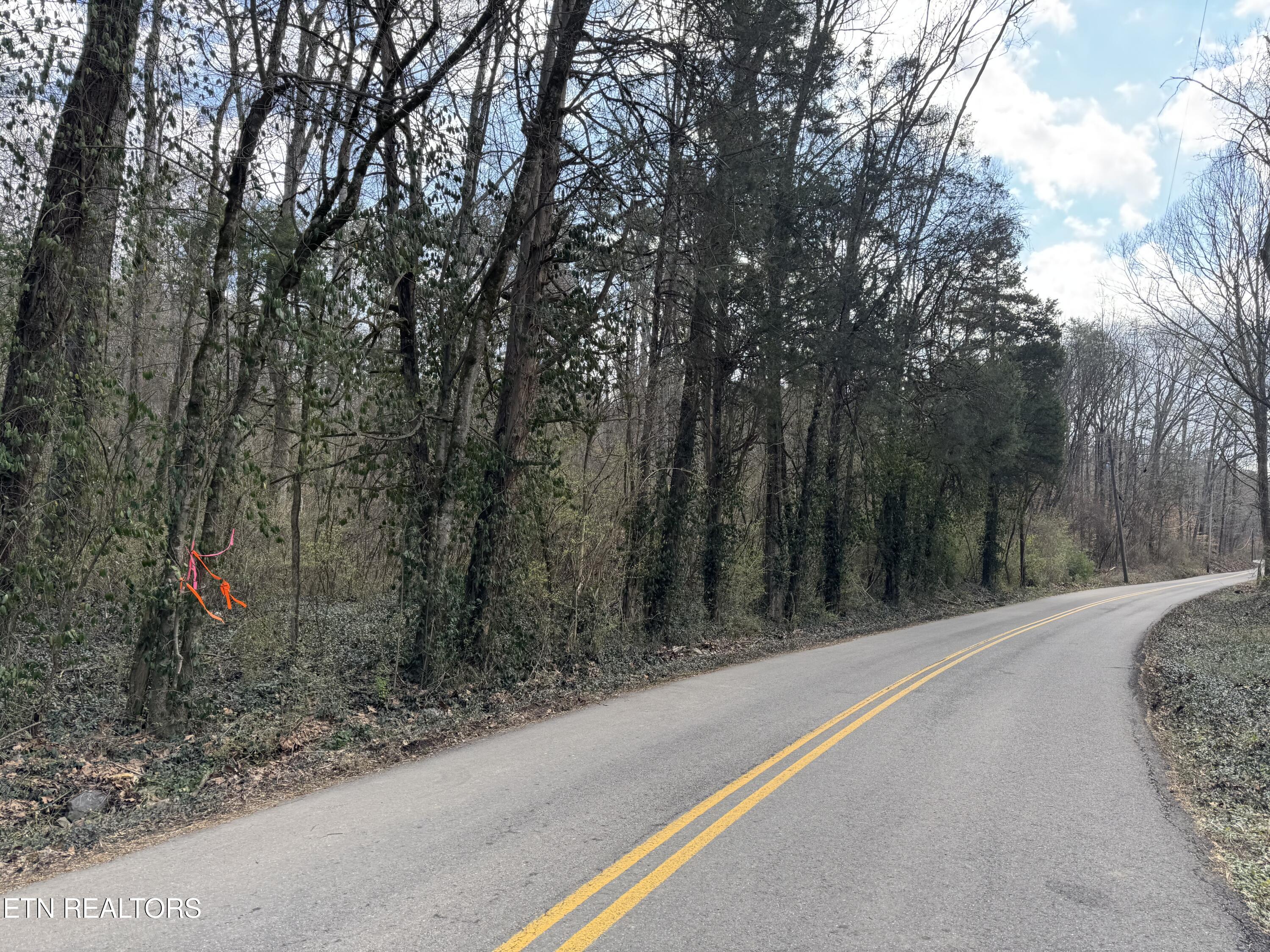 918 McCubbins Road Strawberry Plains, TN 37871 - Photo 3 of 7 IMG_8935