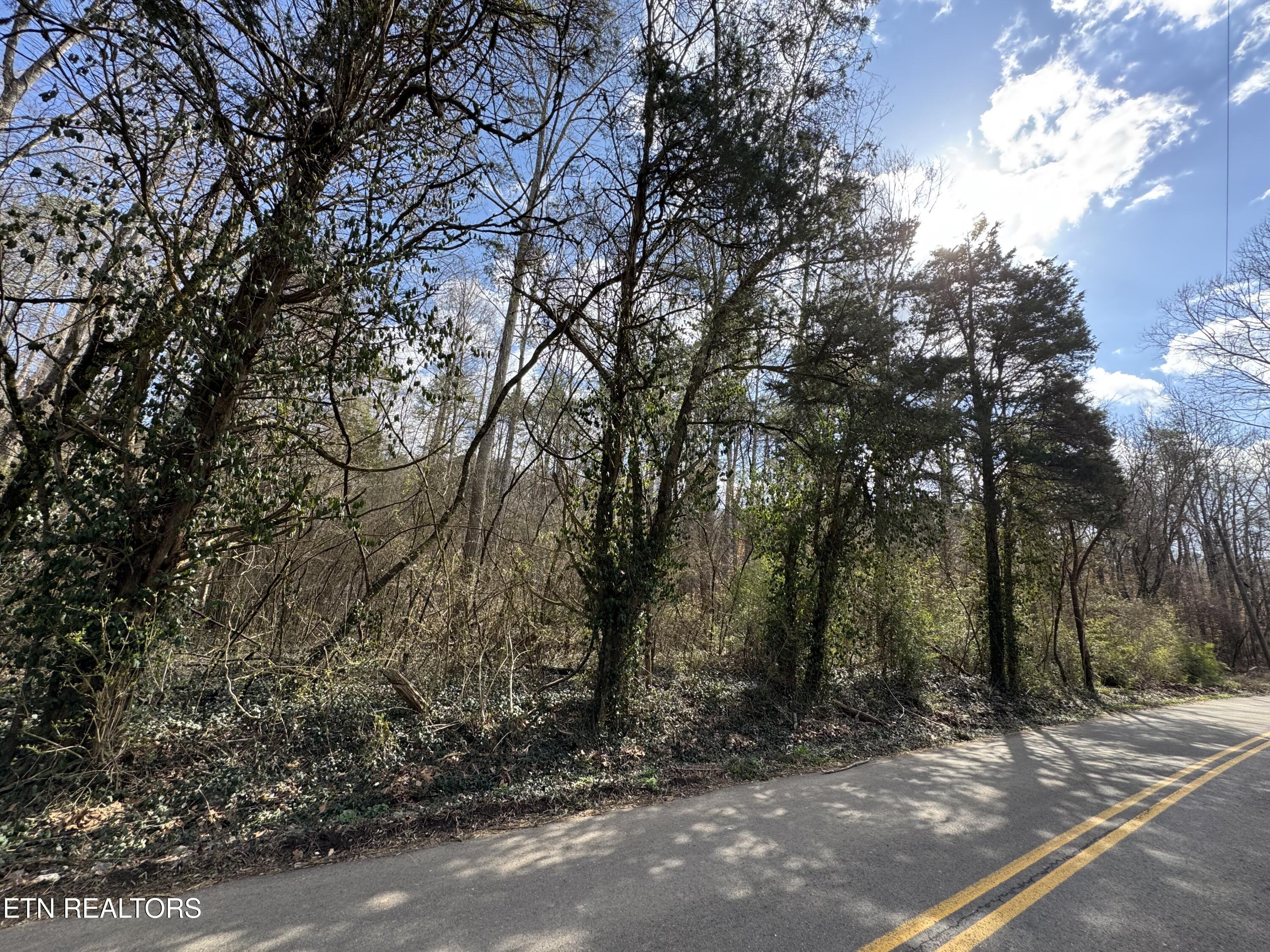 918 McCubbins Road Strawberry Plains, TN 37871 - Photo 4 of 7 IMG_8939