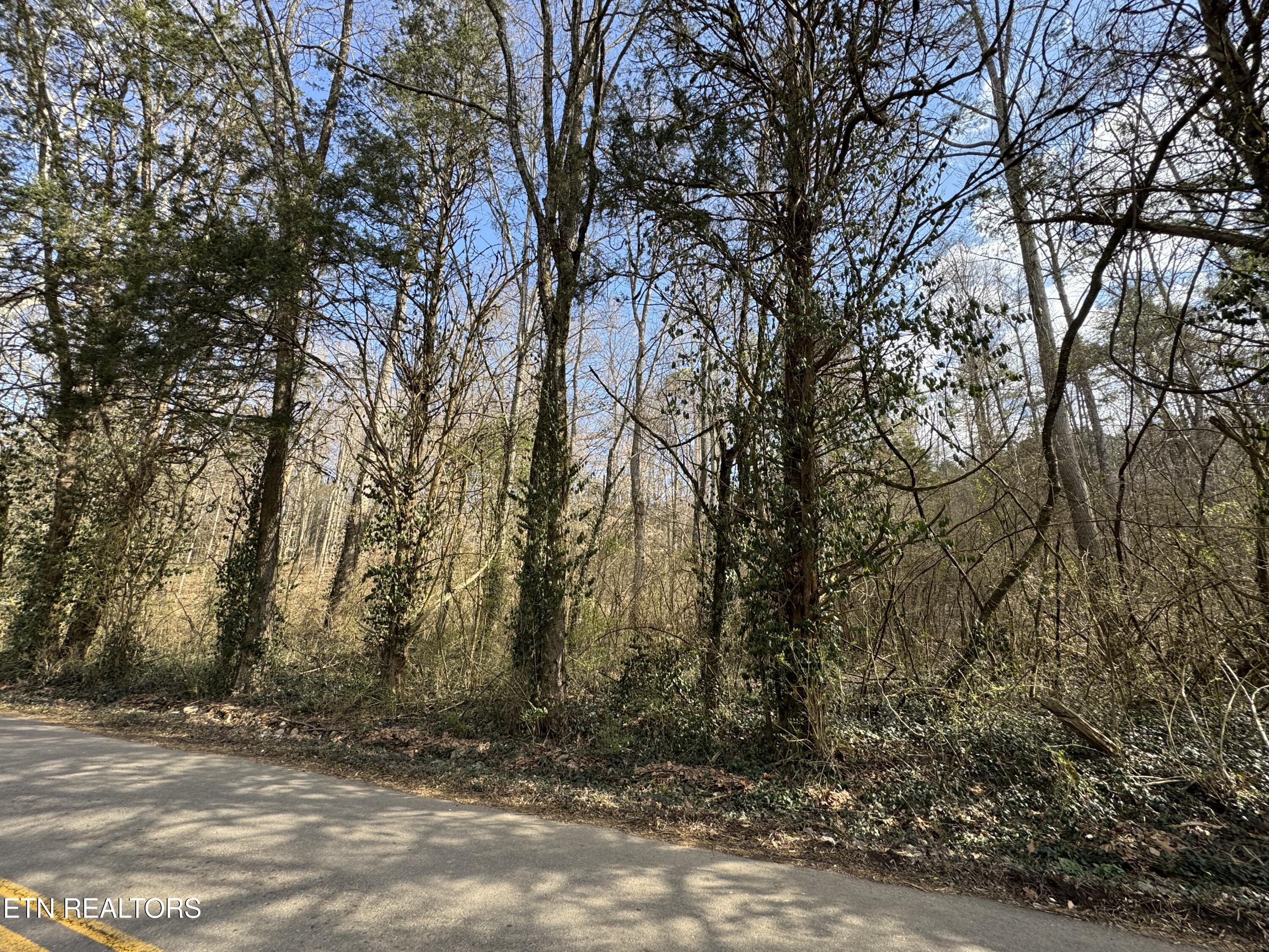 918 McCubbins Road Strawberry Plains, TN 37871 - Photo 5 of 7 IMG_8938