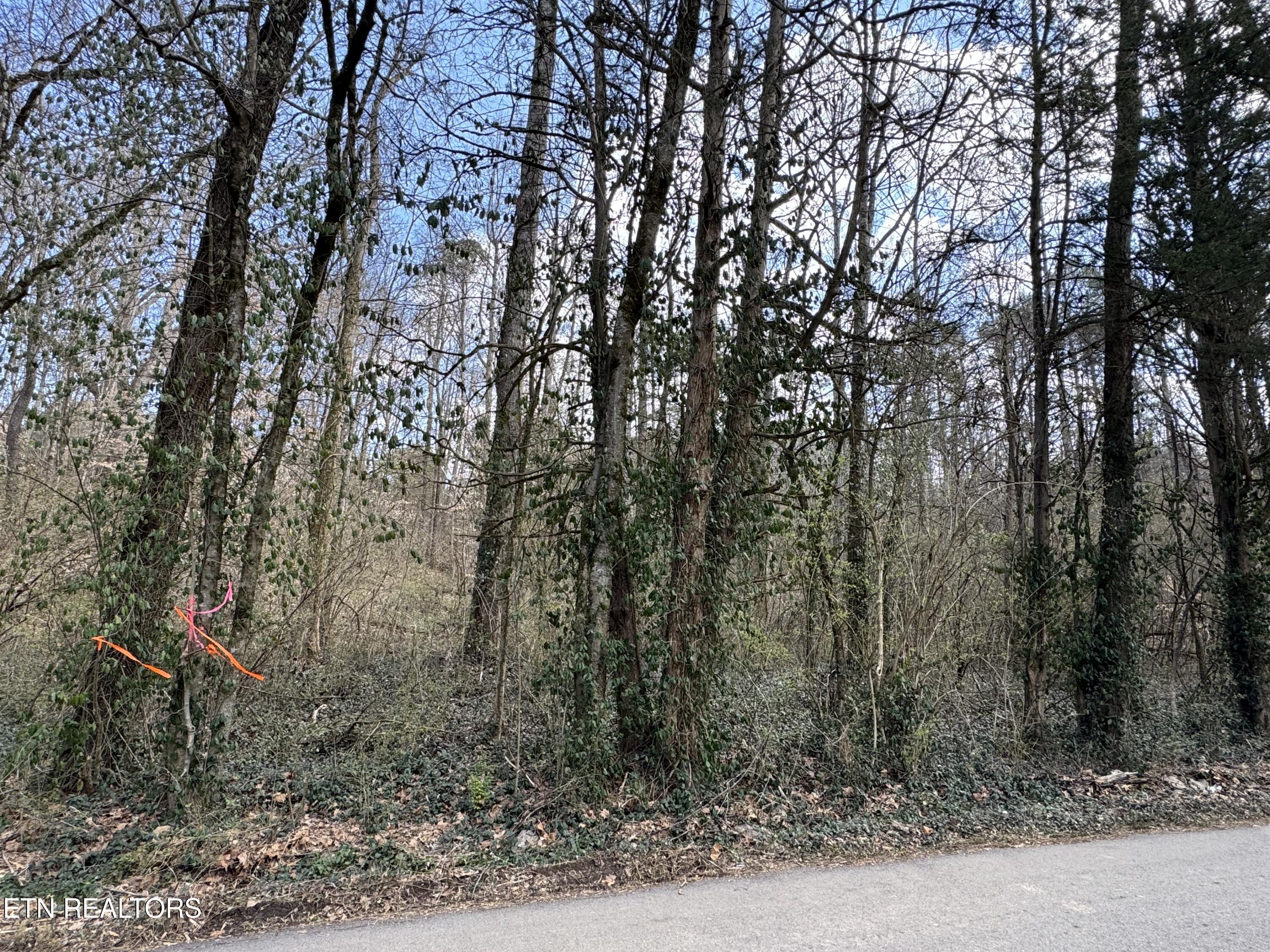 918 McCubbins Road Strawberry Plains, TN 37871 - Photo 6 of 7 IMG_8936