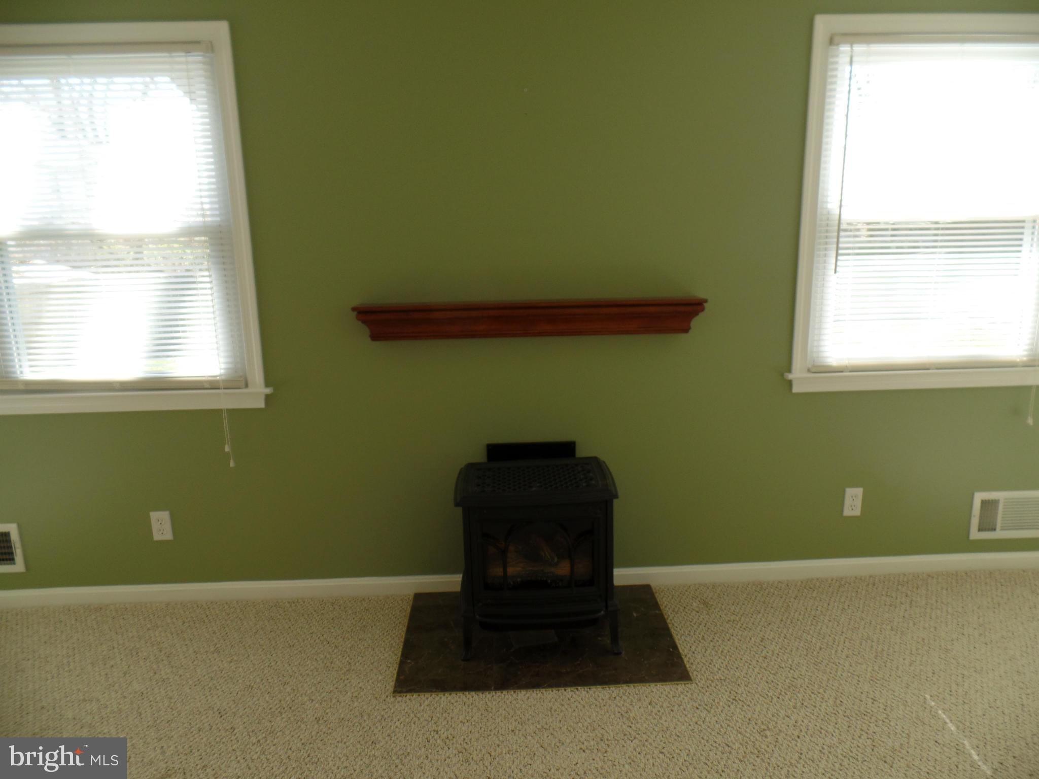 2015 Leonard Road Falls Church, VA 22043 - Photo 12 of 25 Inviting Jotul gas stove