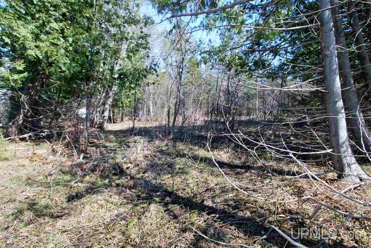 45285 Bootjack Road Lake Linden, MI 49945 - Photo 4 of 13