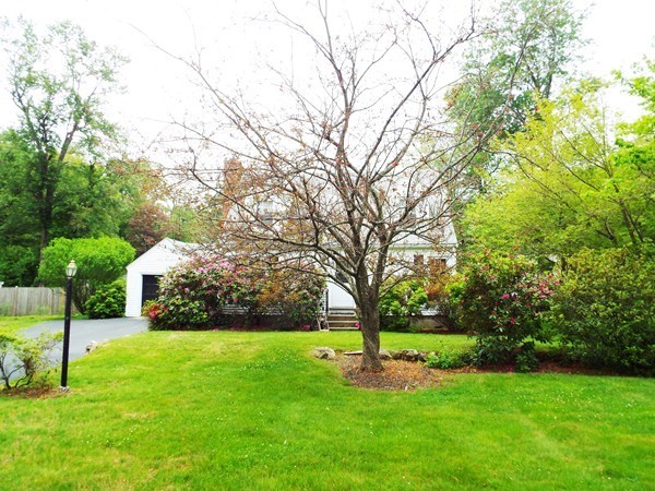 219 Prospect Street Ashland, MA 01721 - Photo 18 of 21 a view of green field with trees in the background