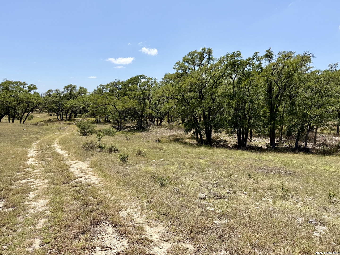 43-acres Sattler Road Spring Branch, TX 78070 - Photo 14 of 42 Gallery Image 14