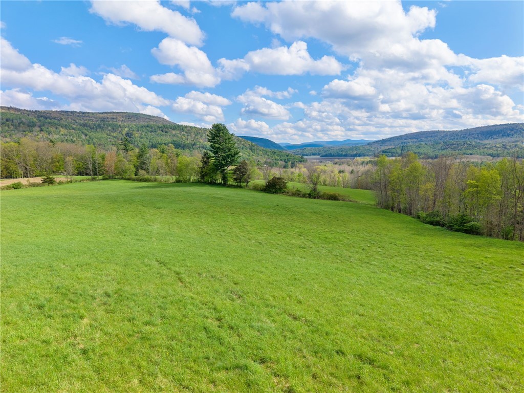Westkill Road North Blenheim, NY 12131 - Photo 8 of 38