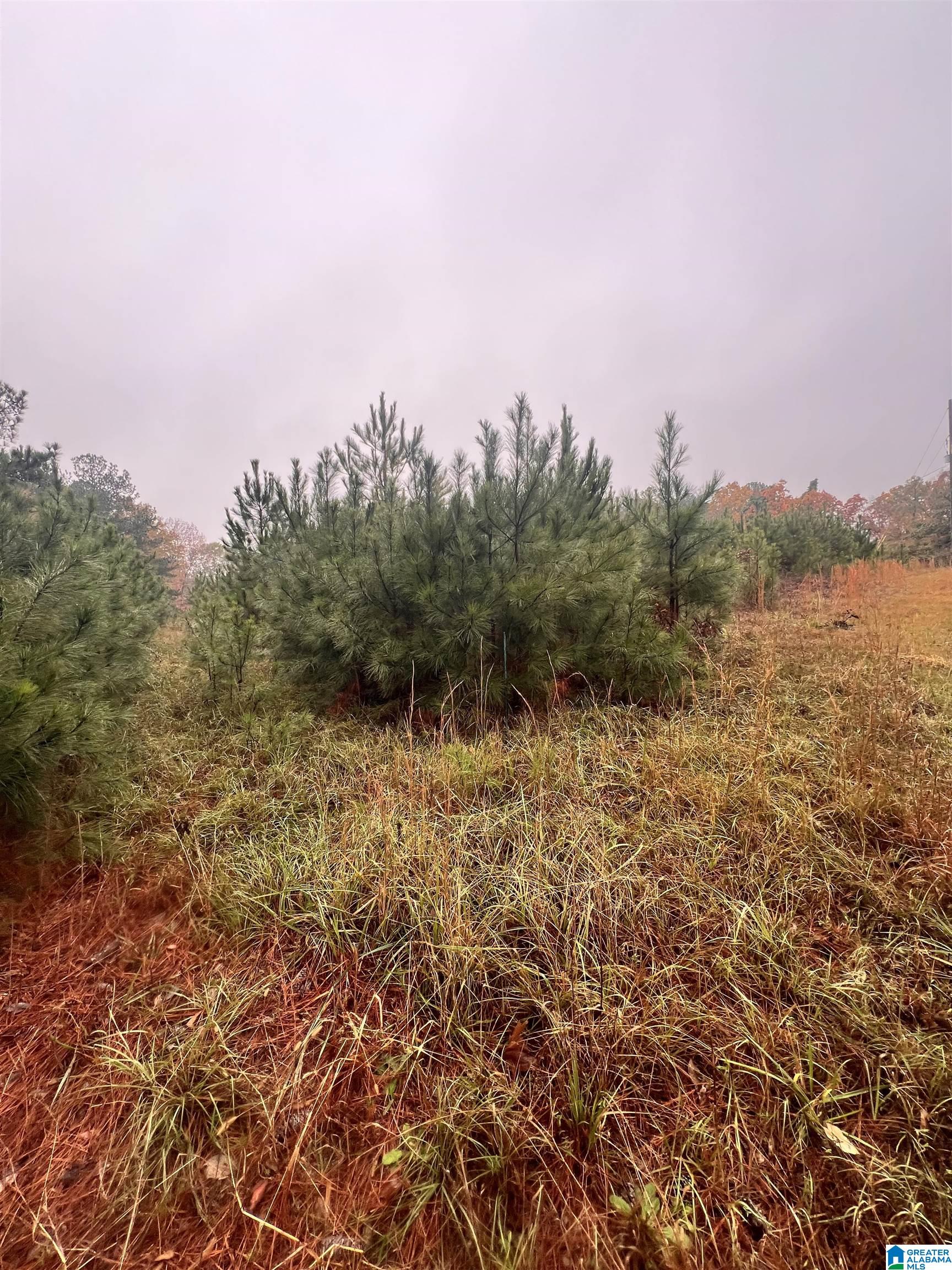 1312 Sparks Gap Road Bessemer, AL 35020 - Photo 1 of 2