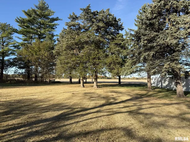 $80,000 | 570 South Main Street, Roseville, IL 61473