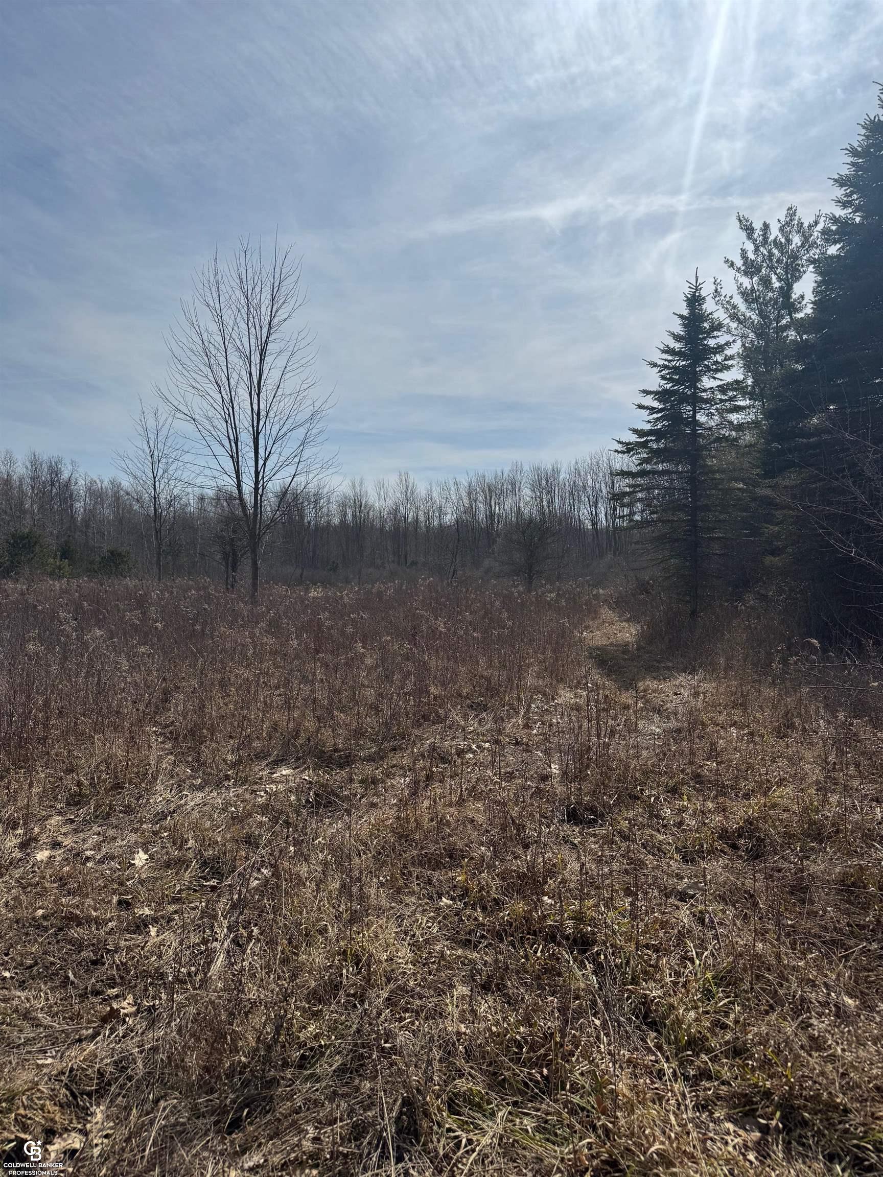 11105 Bryce Road Emmett, MI 48022 - Photo 28 of 44 50169414-e0f03a38-7a10-4715-96df-677ee8865fc8.JPG