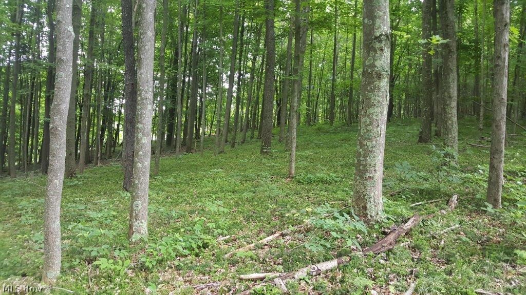 5846 Holmes Church Road Northeast New Philadelphia, OH 44663 - Photo 2 of 34