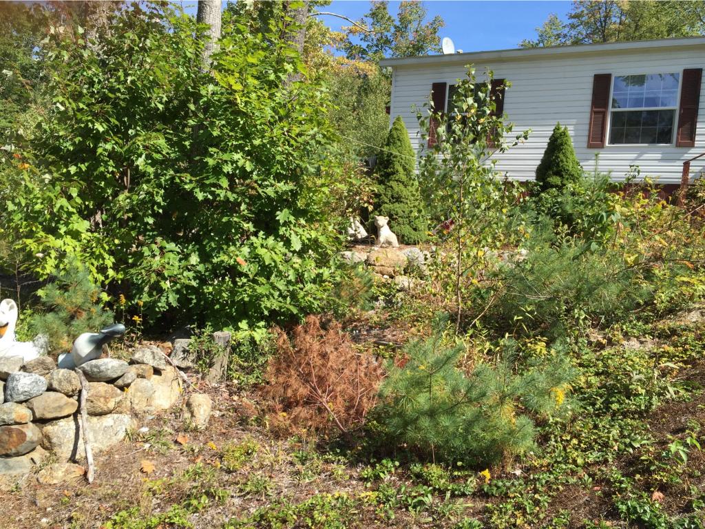 64 Old Bennington Road Greenfield, NH 03047 - Photo 3 of 10