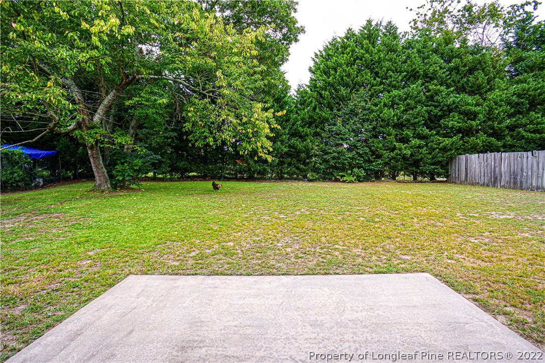 3600 Winesap Road Hope Mills, NC 28348 - Photo 4 of 45 Gallery Image 4