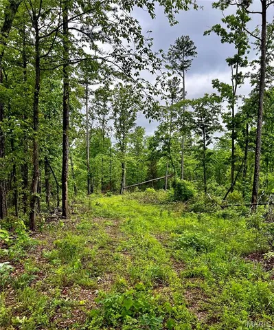 $1,337,000 | 382 Furnace Creek Road, Potosi, MO 63664