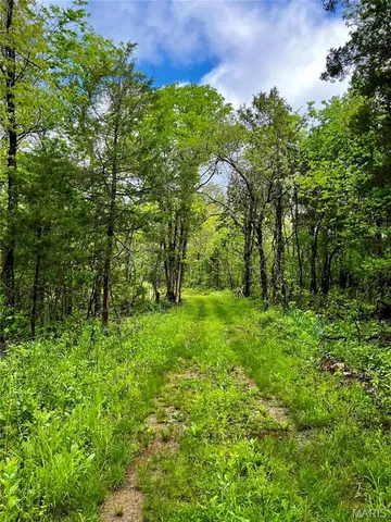 $1,337,000 | 382 Furnace Creek Road, Potosi, MO 63664