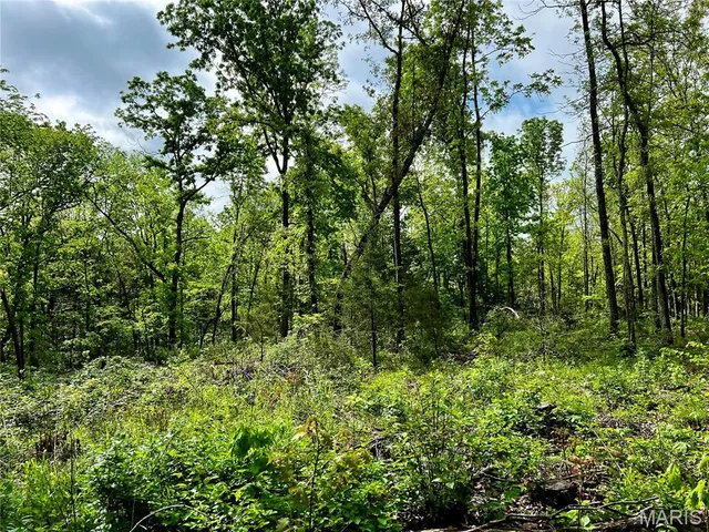 $1,337,000 | 382 Furnace Creek Road, Potosi, MO 63664