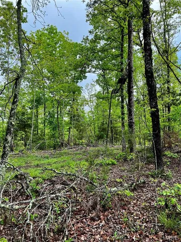 $1,337,000 | 382 Furnace Creek Road, Potosi, MO 63664