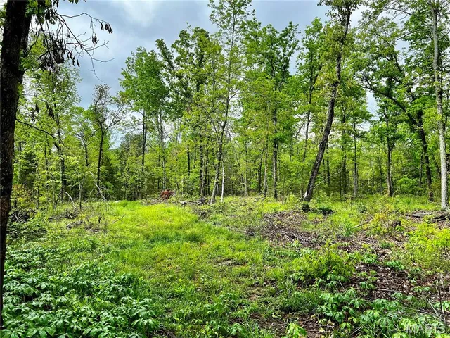 $1,337,000 | 382 Furnace Creek Road, Potosi, MO 63664