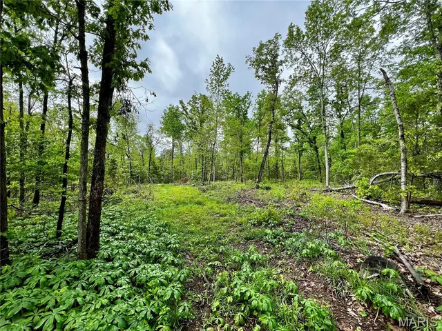 $1,337,000 | 382 Furnace Creek Road, Potosi, MO 63664