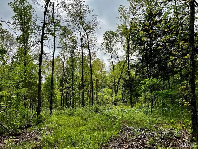 $1,337,000 | 382 Furnace Creek Road, Potosi, MO 63664