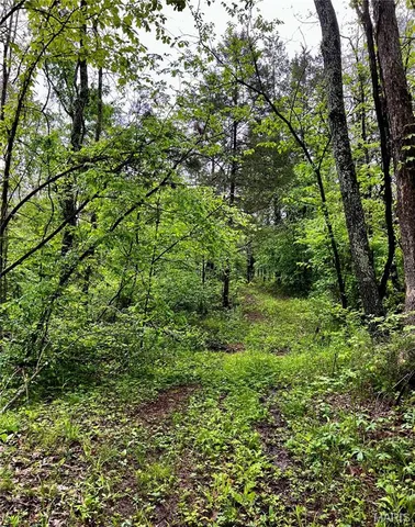 $1,337,000 | 382 Furnace Creek Road, Potosi, MO 63664