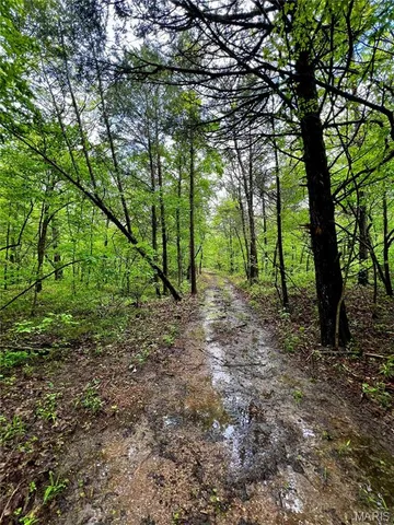 $1,337,000 | 382 Furnace Creek Road, Potosi, MO 63664