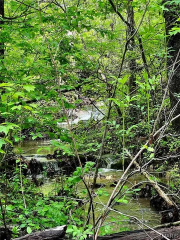 $1,337,000 | 382 Furnace Creek Road, Potosi, MO 63664