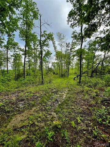 $1,337,000 | 382 Furnace Creek Road, Potosi, MO 63664