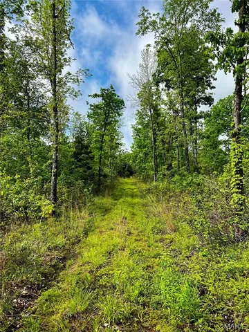 $1,337,000 | 382 Furnace Creek Road, Potosi, MO 63664