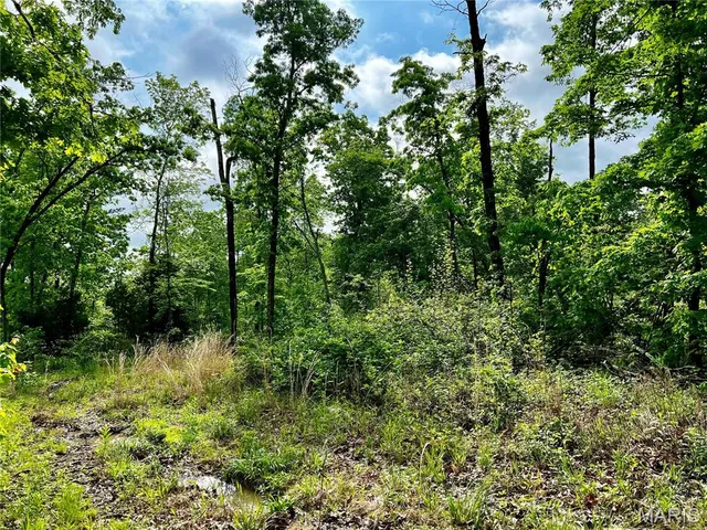 $1,337,000 | 382 Furnace Creek Road, Potosi, MO 63664