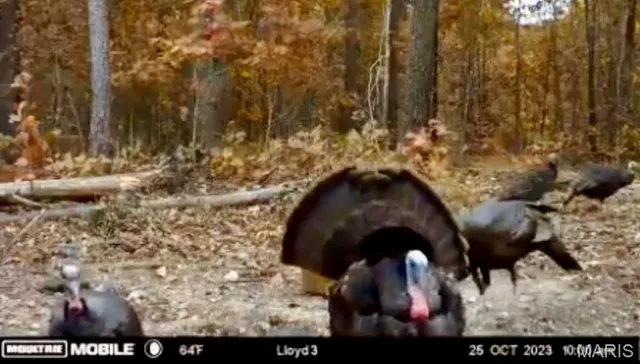 $1,337,000 | 382 Furnace Creek Road, Potosi, MO 63664