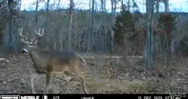 $1,337,000 | 382 Furnace Creek Road, Potosi, MO 63664