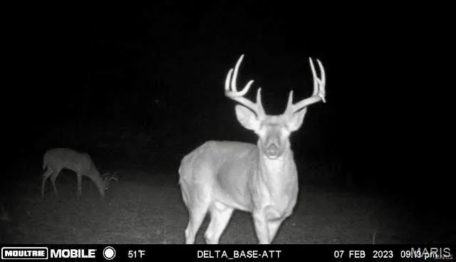 $1,337,000 | 382 Furnace Creek Road, Potosi, MO 63664